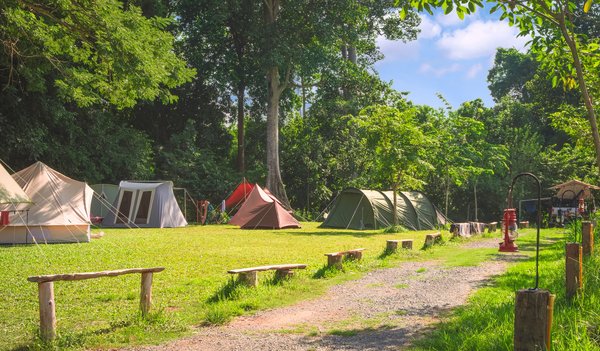 Camping Les Ourmes Hourtin : pour développer plus de proximité avec la nature